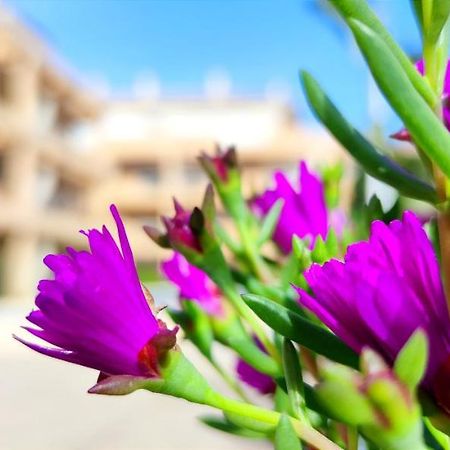 Apartamento Apartamento Playa Sur by DENIA COSTA Exterior foto