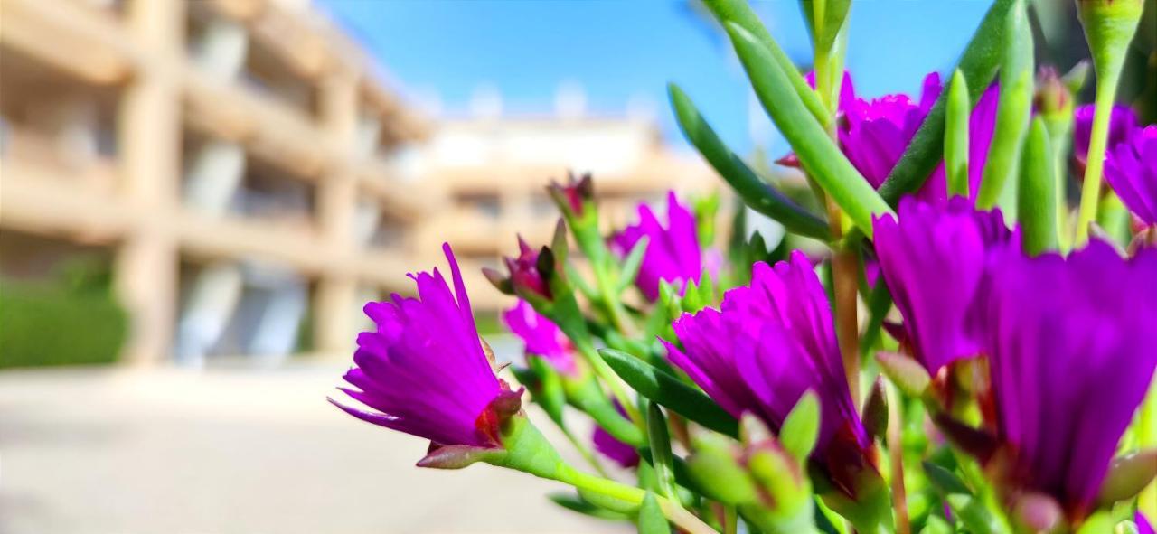 Apartamento Apartamento Playa Sur by DENIA COSTA Exterior foto